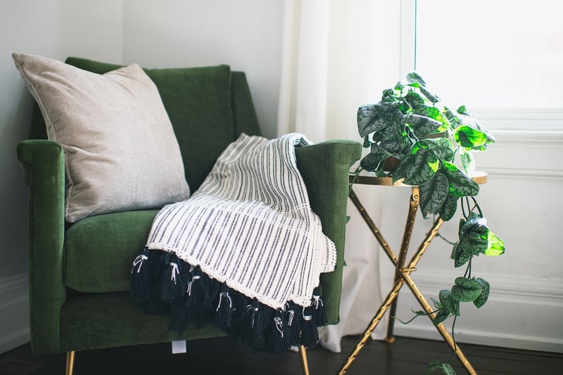 Decorative Throw Pillows
